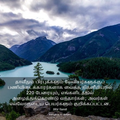 Picture 03 - எஸ்றா 8:20 TAMIRV - தாவீதும் - Bible Verse Picture