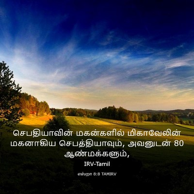 Picture 03 - எஸ்றா 8:8 TAMIRV - செபதியாவின் - Bible Verse Picture