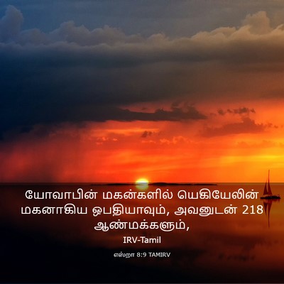 Picture 03 - எஸ்றா 8:9 TAMIRV - யோவாபின் - Bible Verse Picture