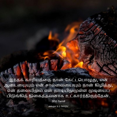 Picture 03 - எஸ்றா 9:3 TAMIRV - இந்தக் காரியத்தை - Bible Verse Picture