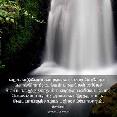 Picture 03 - ஏசாயா 1:18 TAMIRV - வழக்காடுவோம் - Bible Verse Picture
