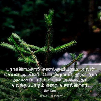 Picture 03 - ஏசாயா 1:31 TAMIRV - பராக்கிரமசாலி - Bible Verse Picture