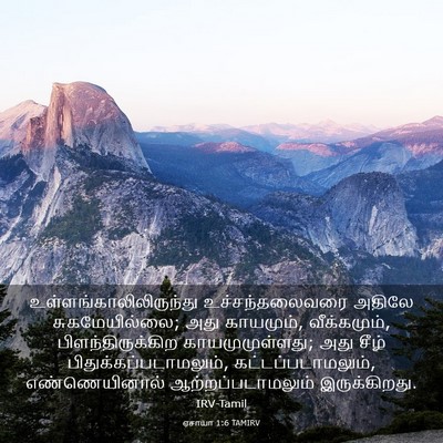 Picture 03 - ஏசாயா 1:6 TAMIRV -  - Bible Verse Picture
