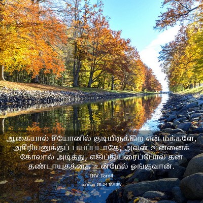 Picture 03 - ஏசாயா 10:24 TAMIRV - ஆகையால் சீயோனில் - Bible Verse Picture