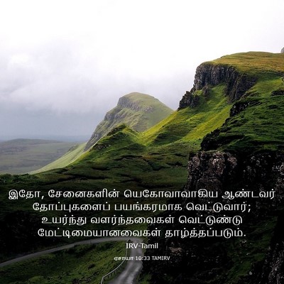 Picture 03 - ஏசாயா 10:33 TAMIRV - இதோ, சேனைகளின் - Bible Verse Picture