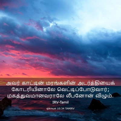Picture 03 - ஏசாயா 10:34 TAMIRV - அவர் காட்டின் - Bible Verse Picture