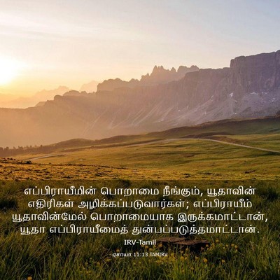 Picture 03 - ஏசாயா 11:13 TAMIRV - எப்பிராயீமின் - Bible Verse Picture