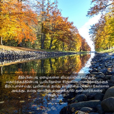 Picture 03 - ஏசாயா 11:4 TAMIRV - நீதியின்படி - Bible Verse Picture