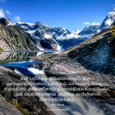 Picture 03 - ஏசாயா 11:9 TAMIRV - என் பரிசுத்த - Bible Verse Picture