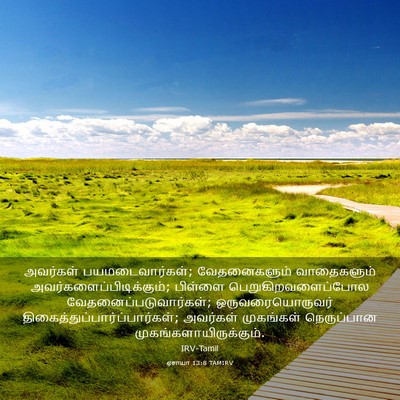 Picture 03 - ஏசாயா 13:8 TAMIRV - அவர்கள் - Bible Verse Picture