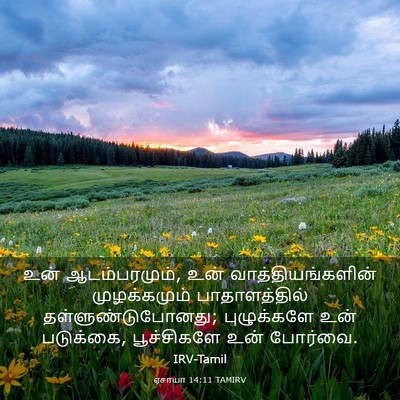 Picture 03 - ஏசாயா 14:11 TAMIRV - உன் ஆடம்பரமும், - Bible Verse Picture