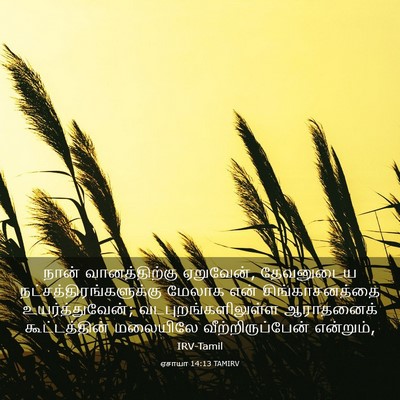 Picture 03 - ஏசாயா 14:13 TAMIRV - நான் வானத்திற்கு - Bible Verse Picture