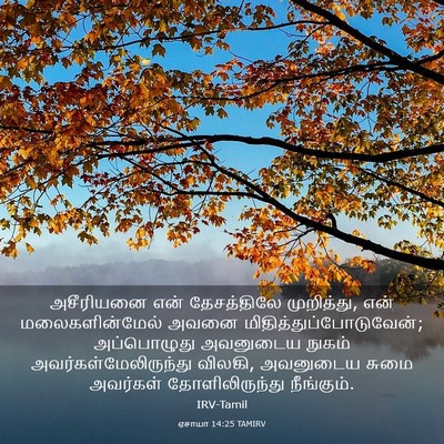 Picture 03 - ஏசாயா 14:25 TAMIRV - அசீரியனை என் - Bible Verse Picture