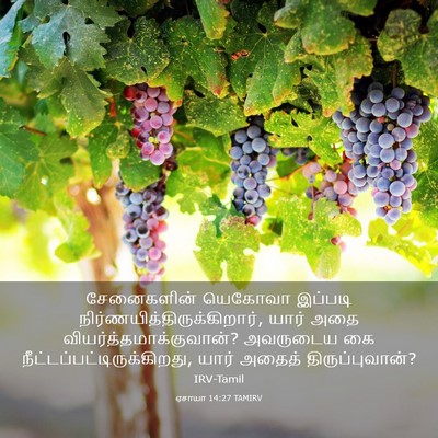 Picture 03 - ஏசாயா 14:27 TAMIRV - சேனைகளின் யெகோவா - Bible Verse Picture