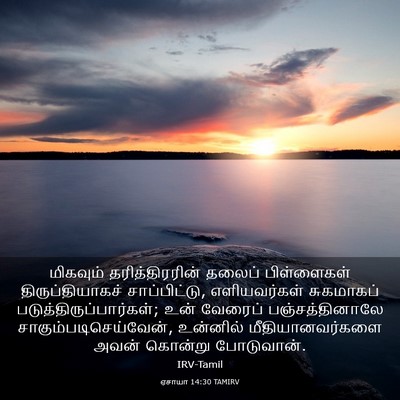 Picture 03 - ஏசாயா 14:30 TAMIRV - மிகவும் - Bible Verse Picture