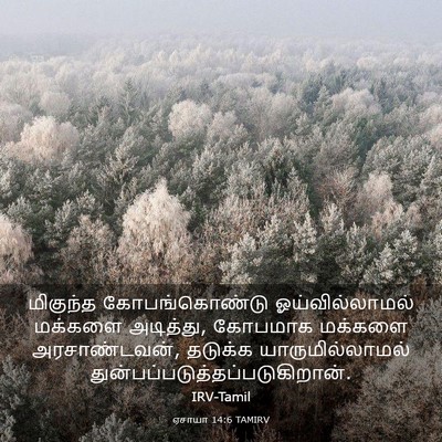 Picture 03 - ஏசாயா 14:6 TAMIRV - மிகுந்த - Bible Verse Picture