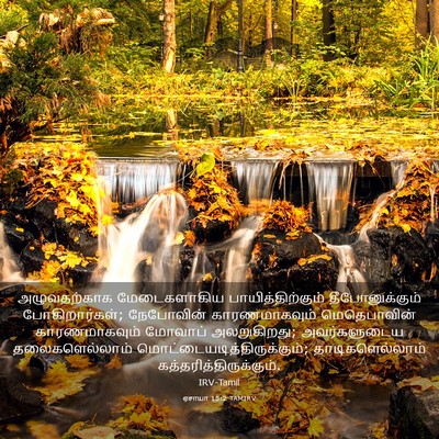 Picture 03 - ஏசாயா 15:2 TAMIRV - அழுவதற்காக - Bible Verse Picture