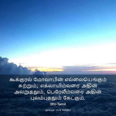 Picture 03 - ஏசாயா 15:8 TAMIRV - கூக்குரல் - Bible Verse Picture