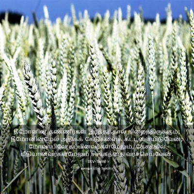 Picture 03 - ஏசாயா 15:9 TAMIRV - தீமோனின் - Bible Verse Picture