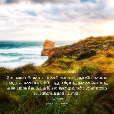 Picture 03 - ஏசாயா 16:12 TAMIRV - மோவாப் - Bible Verse Picture