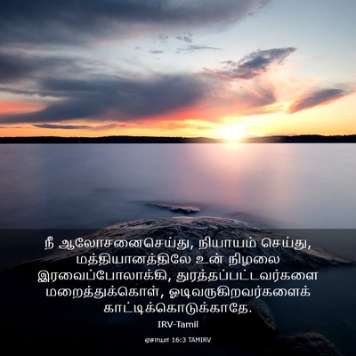 Picture 03 - ஏசாயா 16:3 TAMIRV - நீ ஆலோசனைசெய்து, - Bible Verse Picture