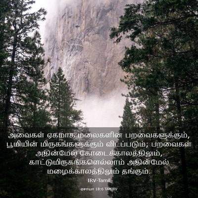 Picture 03 - ஏசாயா 18:6 TAMIRV - அவைகள் ஏகமாக - Bible Verse Picture