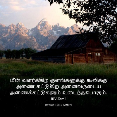 Picture 03 - ஏசாயா 19:10 TAMIRV - மீன் வளர்க்கிற - Bible Verse Picture