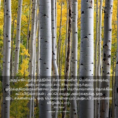 Picture 03 - ஏசாயா 19:20 TAMIRV - அது - Bible Verse Picture