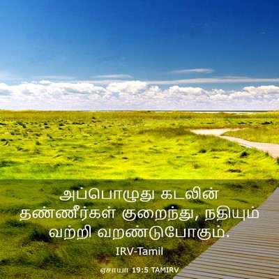 Picture 03 - ஏசாயா 19:5 TAMIRV - அப்பொழுது கடலின் - Bible Verse Picture