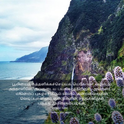 Picture 03 - ஏசாயா 2:20 TAMIRV - பூமியைத் - Bible Verse Picture