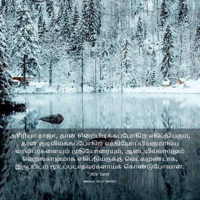 Picture 03 - ஏசாயா 20:4 TAMIRV - அசீரியா ராஜா, தான் - Bible Verse Picture