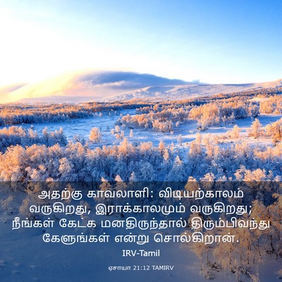 Picture 03 - ஏசாயா 21:12 TAMIRV - அதற்கு காவலாளி: - Bible Verse Picture