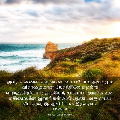 Picture 03 - ஏசாயா 22:18 TAMIRV - அவர் உன்னை - Bible Verse Picture