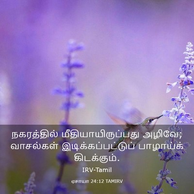 Picture 03 - ஏசாயா 24:12 TAMIRV - நகரத்தில் - Bible Verse Picture