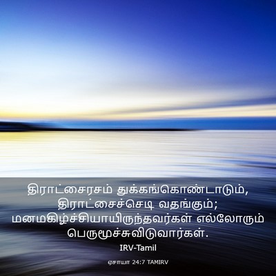 Picture 03 - ஏசாயா 24:7 TAMIRV - திராட்சைரசம் - Bible Verse Picture