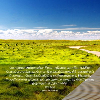 Picture 03 - ஏசாயா 25:4 TAMIRV - கொடூரமானவர்களின் - Bible Verse Picture