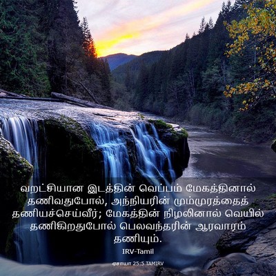 Picture 03 - ஏசாயா 25:5 TAMIRV - வறட்சியான - Bible Verse Picture