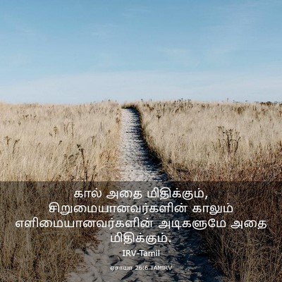 Picture 03 - ஏசாயா 26:6 TAMIRV - கால் அதை - Bible Verse Picture