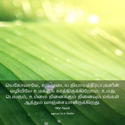 Picture 03 - ஏசாயா 26:8 TAMIRV - யெகோவாவே, - Bible Verse Picture