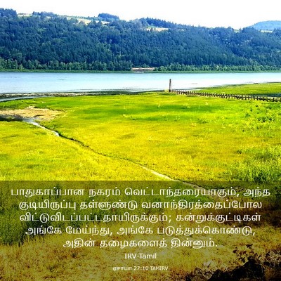 Picture 03 - ஏசாயா 27:10 TAMIRV - பாதுகாப்பான நகரம் - Bible Verse Picture