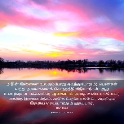 Picture 03 - ஏசாயா 27:11 TAMIRV - அதின் கிளைகள் - Bible Verse Picture