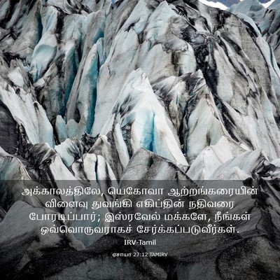Picture 03 - ஏசாயா 27:12 TAMIRV - அக்காலத்திலே, - Bible Verse Picture