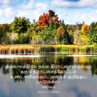 Picture 03 - ஏசாயா 27:2 TAMIRV - அக்காலத்திலே நல்ல - Bible Verse Picture