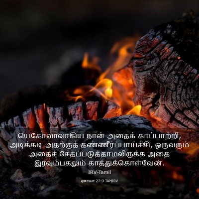 Picture 03 - ஏசாயா 27:3 TAMIRV - யெகோவாவாகிய நான் - Bible Verse Picture