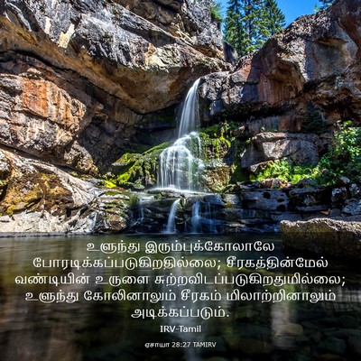 Picture 03 - ஏசாயா 28:27 TAMIRV - உளுந்து - Bible Verse Picture