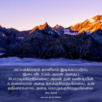 Picture 03 - ஏசாயா 28:28 TAMIRV - அப்பத்திற்குத் - Bible Verse Picture