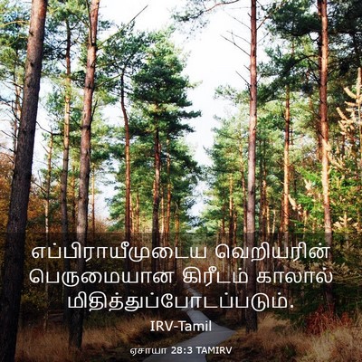 Picture 03 - ஏசாயா 28:3 TAMIRV - எப்பிராயீமுடைய - Bible Verse Picture