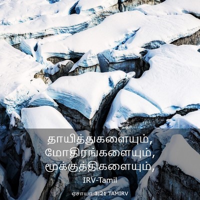 Picture 03 - ஏசாயா 3:21 TAMIRV - தாயித்துகளையும், - Bible Verse Picture