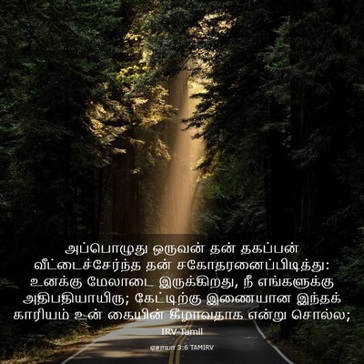Picture 03 - ஏசாயா 3:6 TAMIRV - அப்பொழுது ஒருவன் - Bible Verse Picture