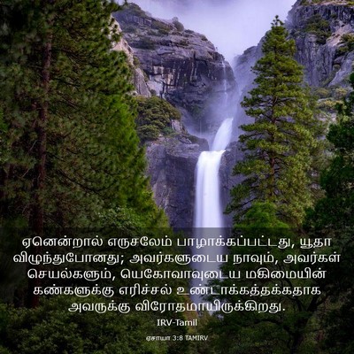 Picture 03 - ஏசாயா 3:8 TAMIRV - ஏனென்றால் - Bible Verse Picture